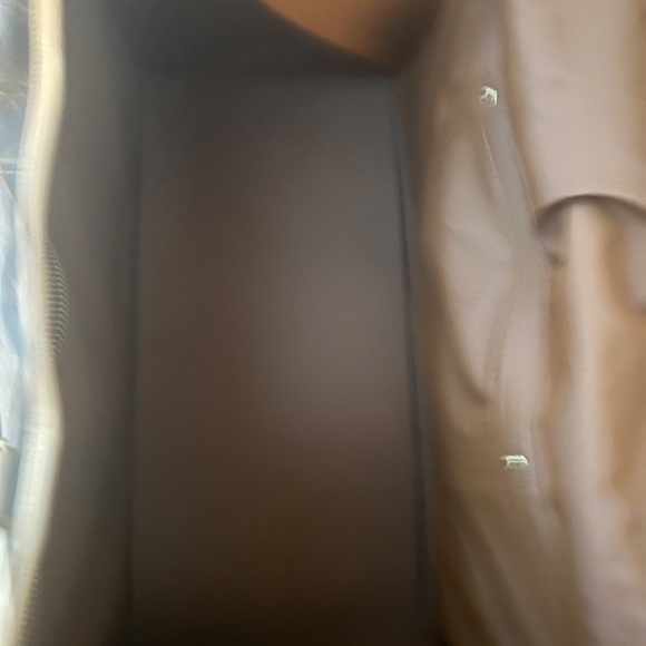 Louis Vuitton Dog Carrier - Picture 3 of 14